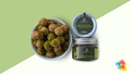 Organic MCT Matcha Energy Balls (Refined Sugar Free)
